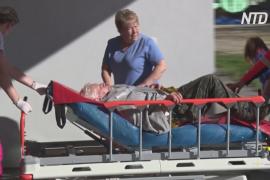 Что спасло грибника от зубов разъярённой медведицы в Словакии