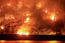 «Это был пылающий ад»: под Нью-Йорком полыхает лесной пожар