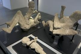 Анализ ДНК переворачивает представления о жертвах извержения Везувия в Помпеях