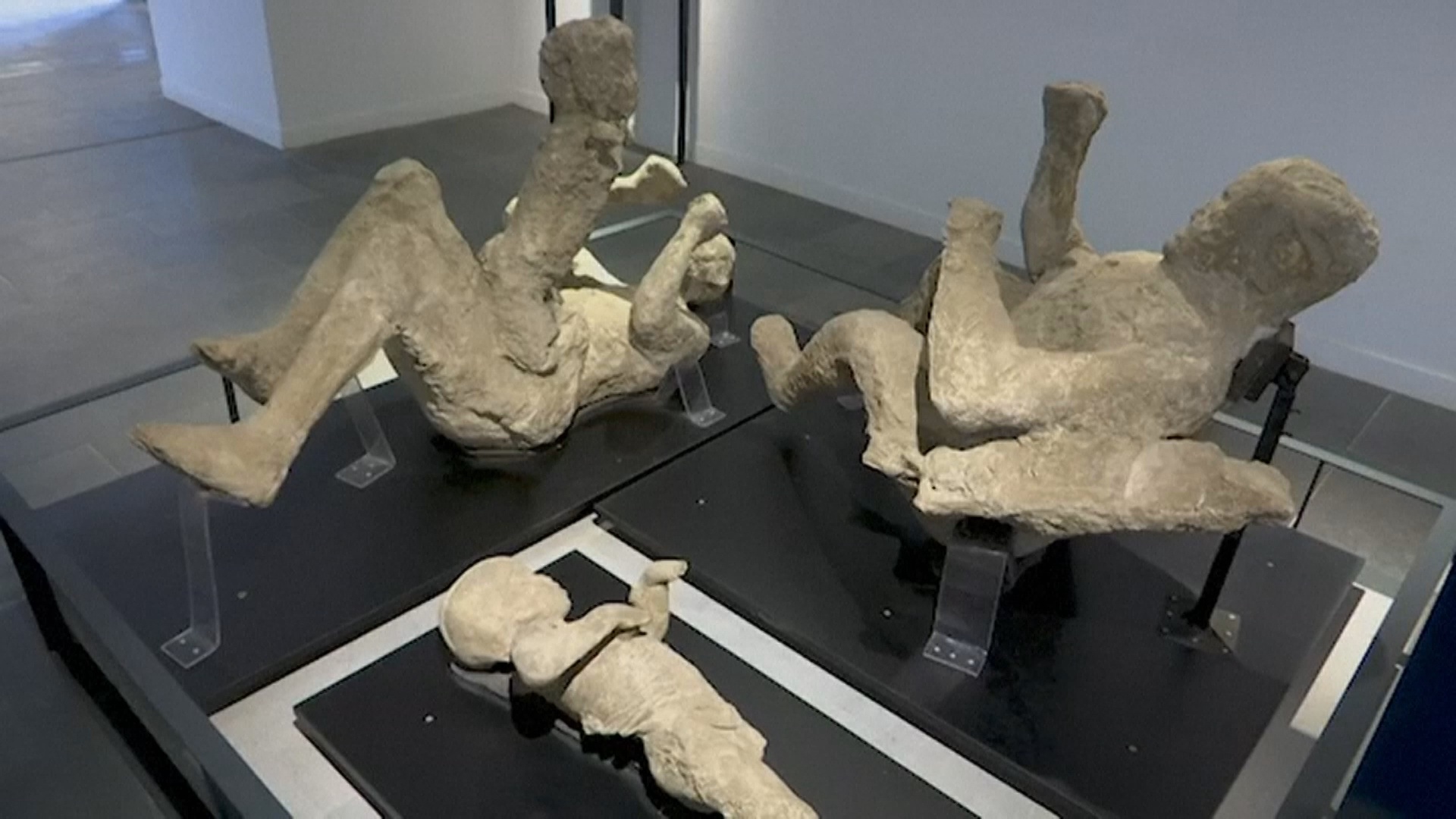 Анализ ДНК переворачивает представления о жертвах извержения Везувия в Помпеях Анализ ДНК переворачивает представления о жертвах извержения Везувия в Помпеях