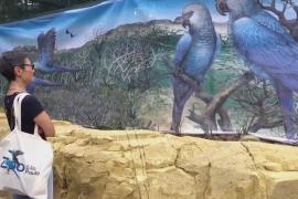 Экспозиция редких голубых ара открылась в зоопарке Сан-Паулу в Бразилии