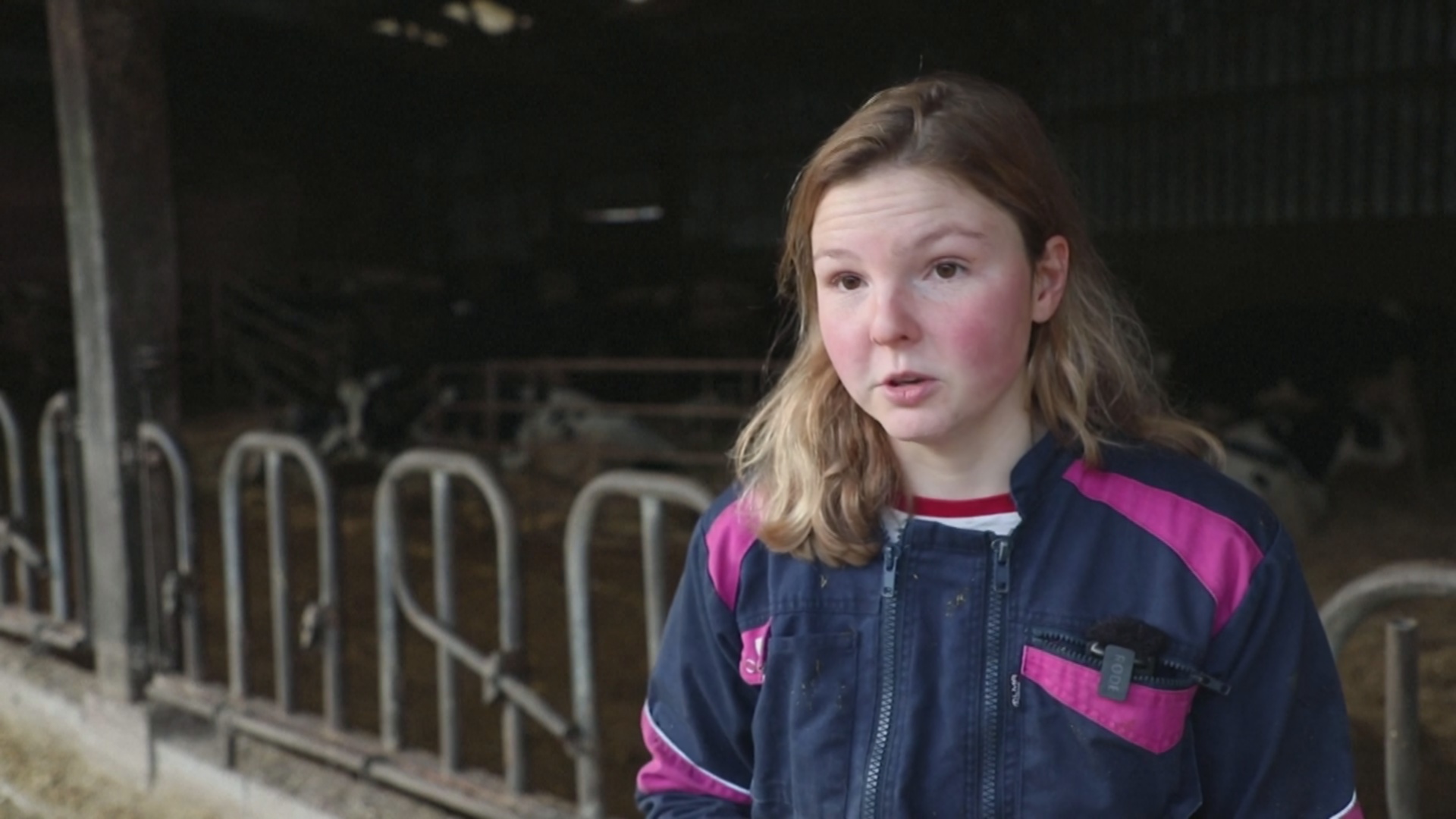 Французские фермеры выступают против соглашения ЕС-МЕРКОСУР