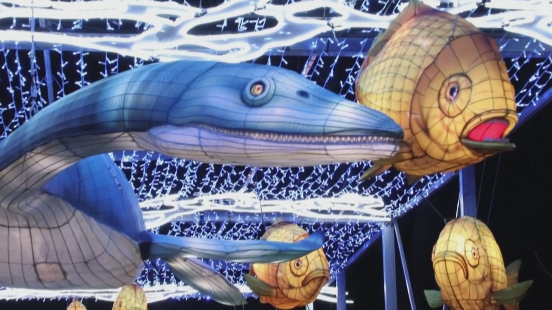 Возвращение в Юрский период: фестиваль света в Париже посвятили древним рептилиям Возвращение в Юрский период: фестиваль света в Париже посвятили древним рептилиям