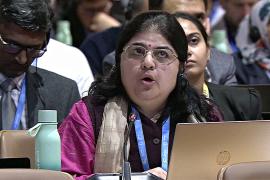 Развивающиеся страны недовольны соглашением СОР29