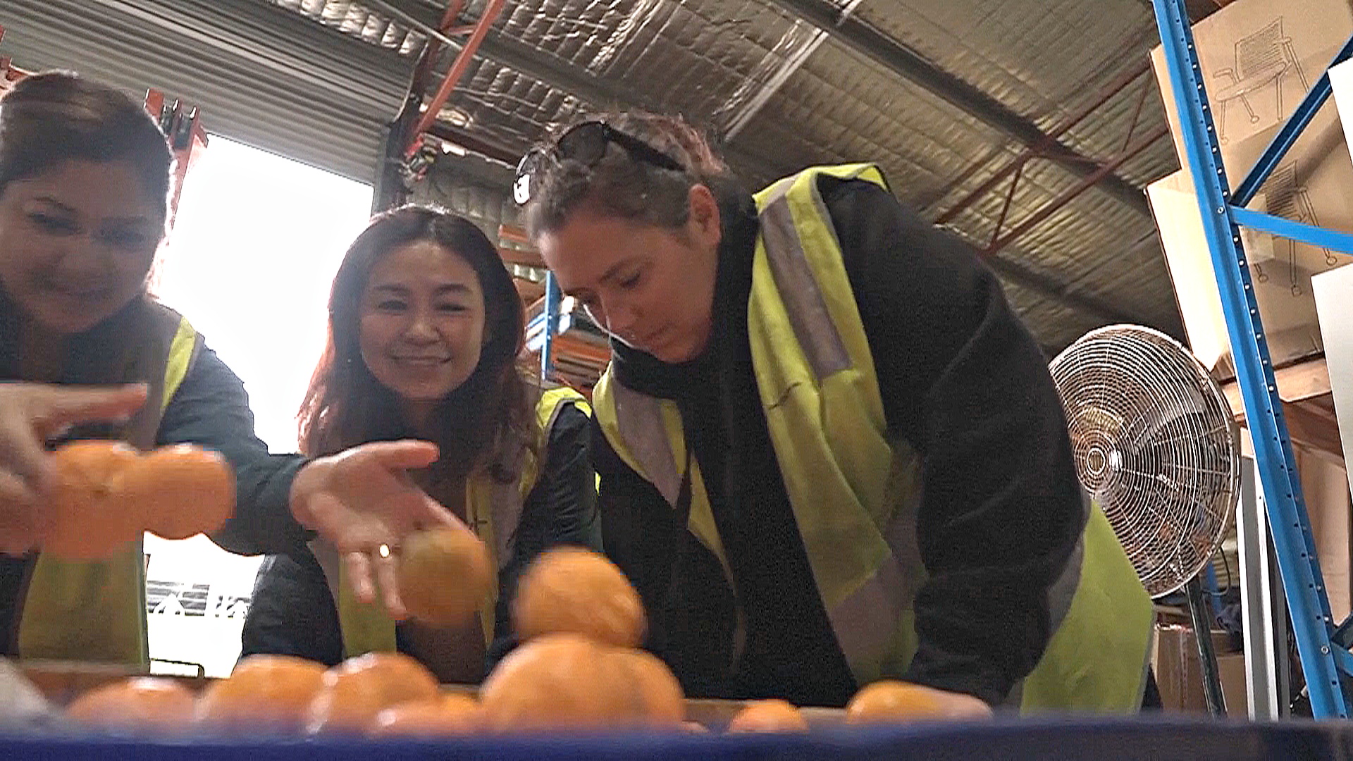 Австралийцы создают продовольственные банки на задних дворах Австралийцы создают продовольственные банки на задних дворах