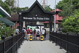 Последний оплот сельской жизни в Сингапуре: что его ждёт