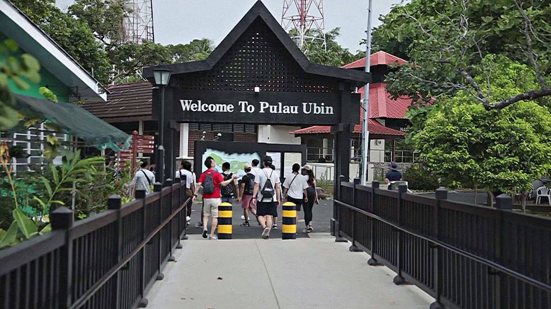 Последний оплот сельской жизни в Сингапуре: что его ждёт Последний оплот сельской жизни в Сингапуре: что его ждёт