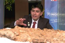 В Перу показали останки крокодила возрастом 10 млн лет