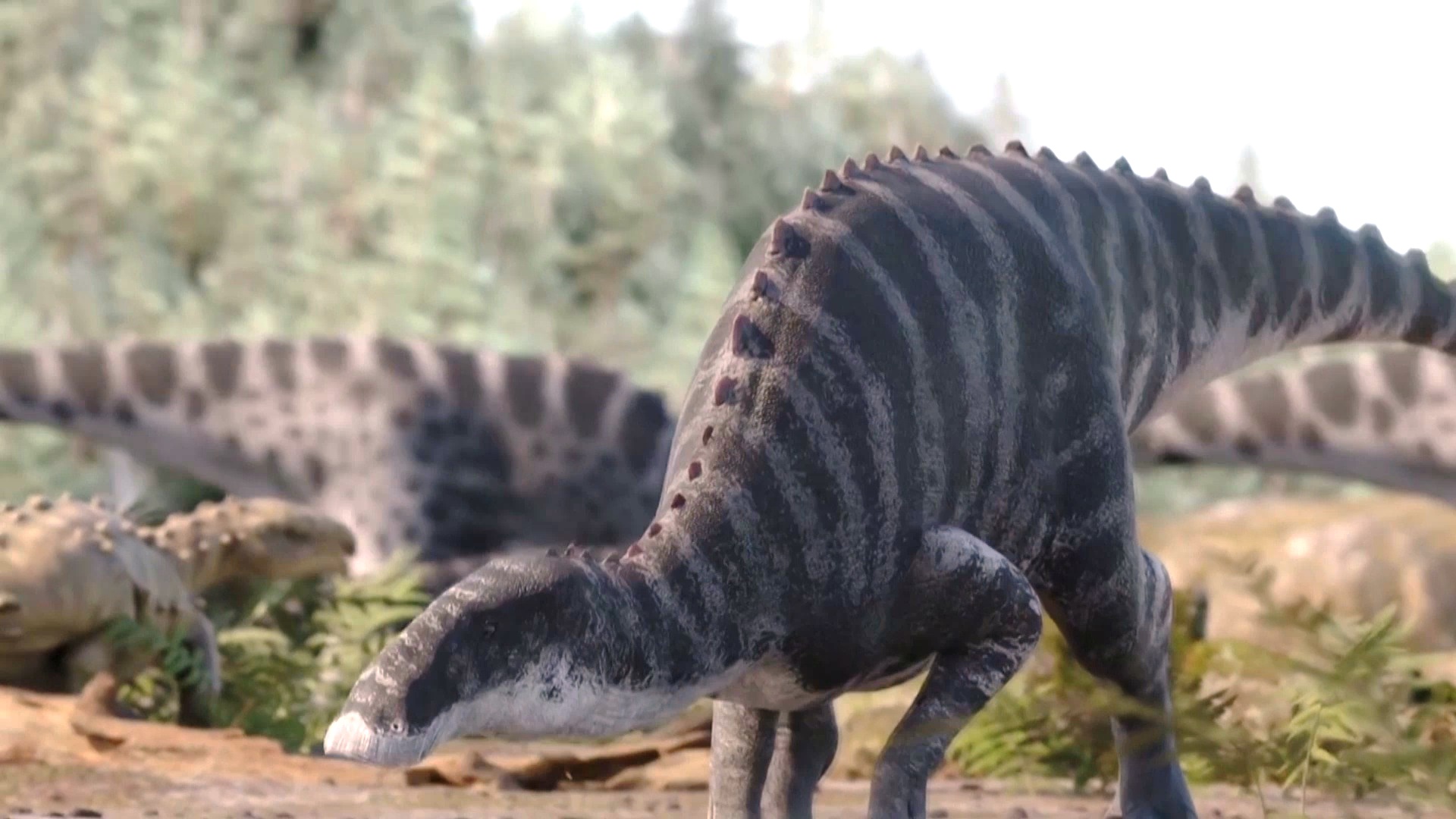 Окаменелые экскременты динозавров показали, как они достигли господства Окаменелые экскременты динозавров показали, как они достигли господства