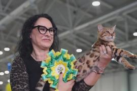 Сотни кошек разных пород представили на выставке SuperCat в Риме