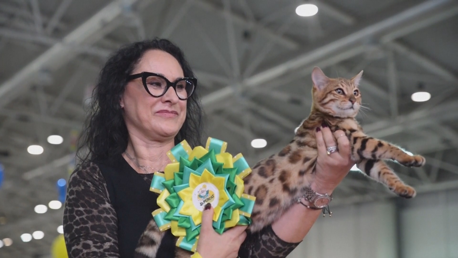 Сотни кошек разных пород представили на выставке SuperCat в Риме