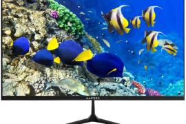 Как выбрать игровой монитор: основные характеристики и критерии оценки для максимального погружения в игру