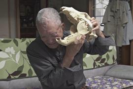 В Японии исчезает поколение охотников, которые защищают людей от медведей