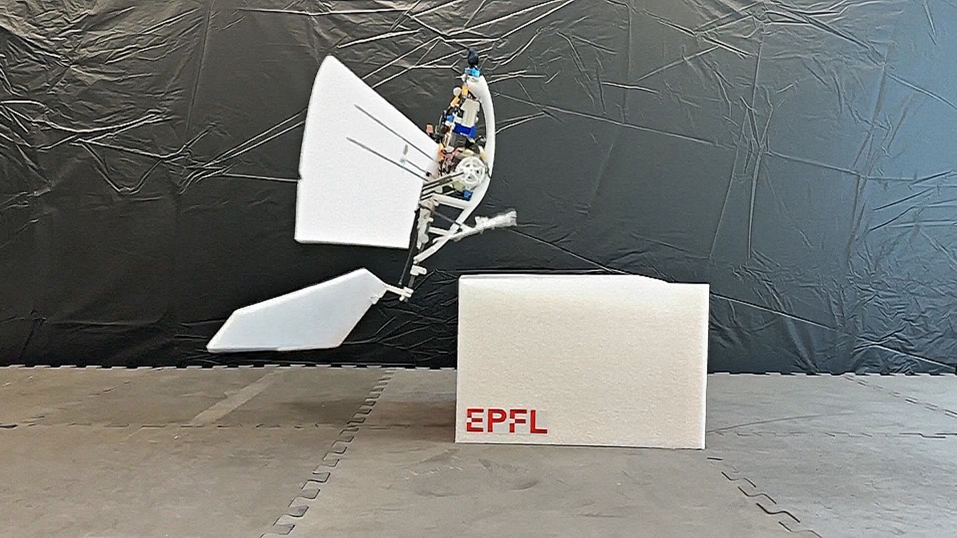 Робот-птица поможет усовершенствовать дроны