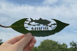 Японец стал вырезать картины на листьях и нашёл своё место в жизни