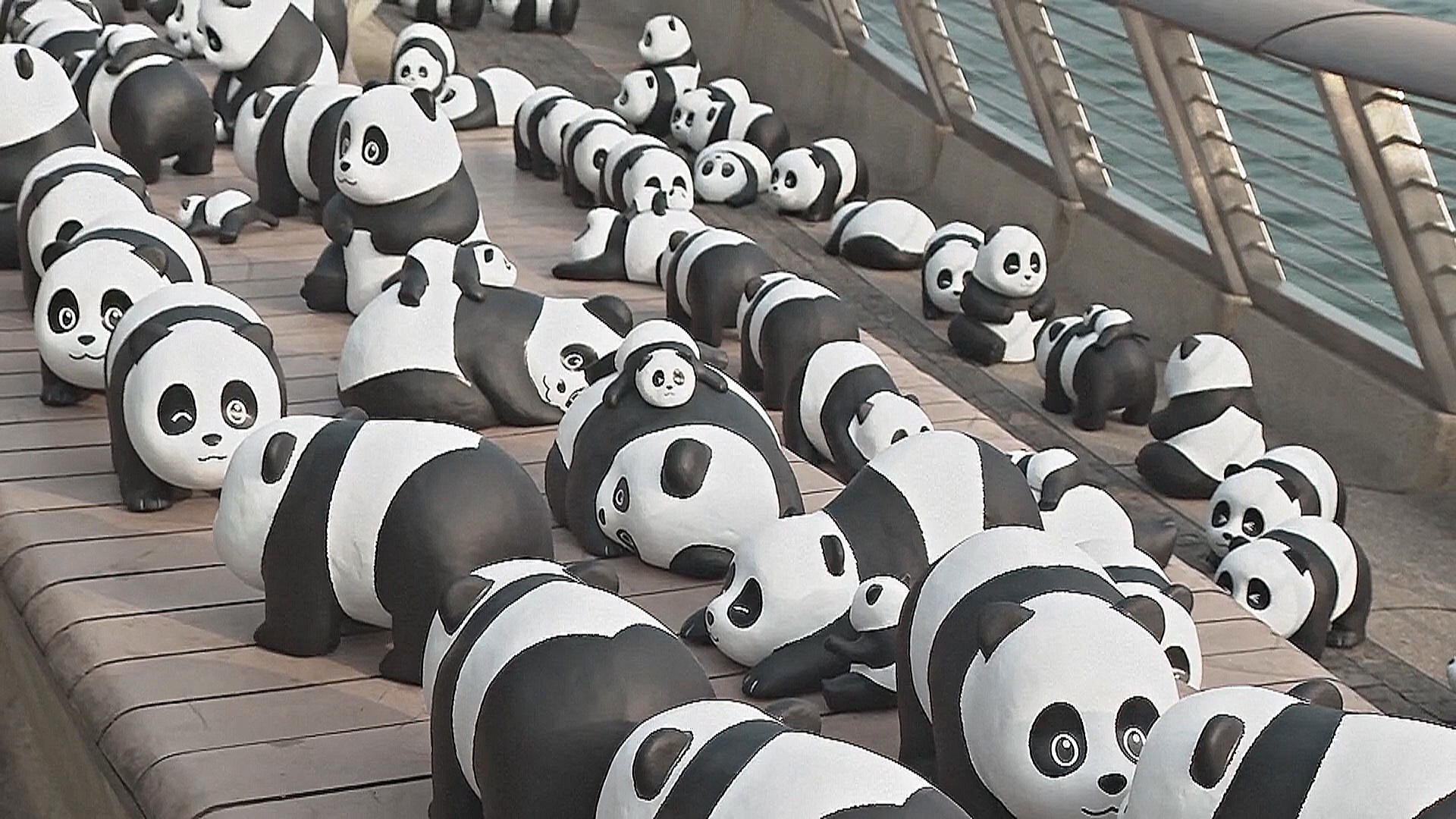 Десятки фигурок панд выставили на гонконгской набережной