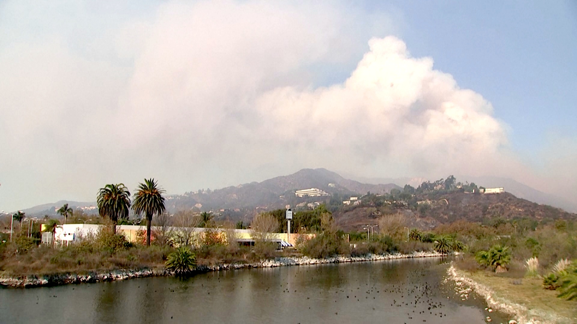 Под Лос-Анджелесом быстро распространяется лесной пожар Под Лос-Анджелесом быстро распространяется лесной пожар