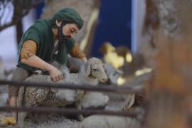 Более 120 рождественских вертепов выставили на площади Святого Петра в Ватикане