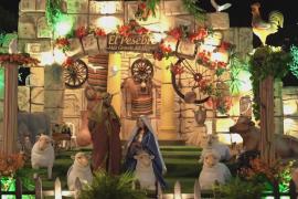 Живой рождественский вертеп площадью 18 000 кв. м установили в Колумбии