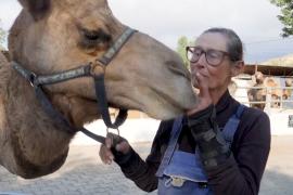 Где живут верблюды, участвующие в парадах трёх королей в Испании