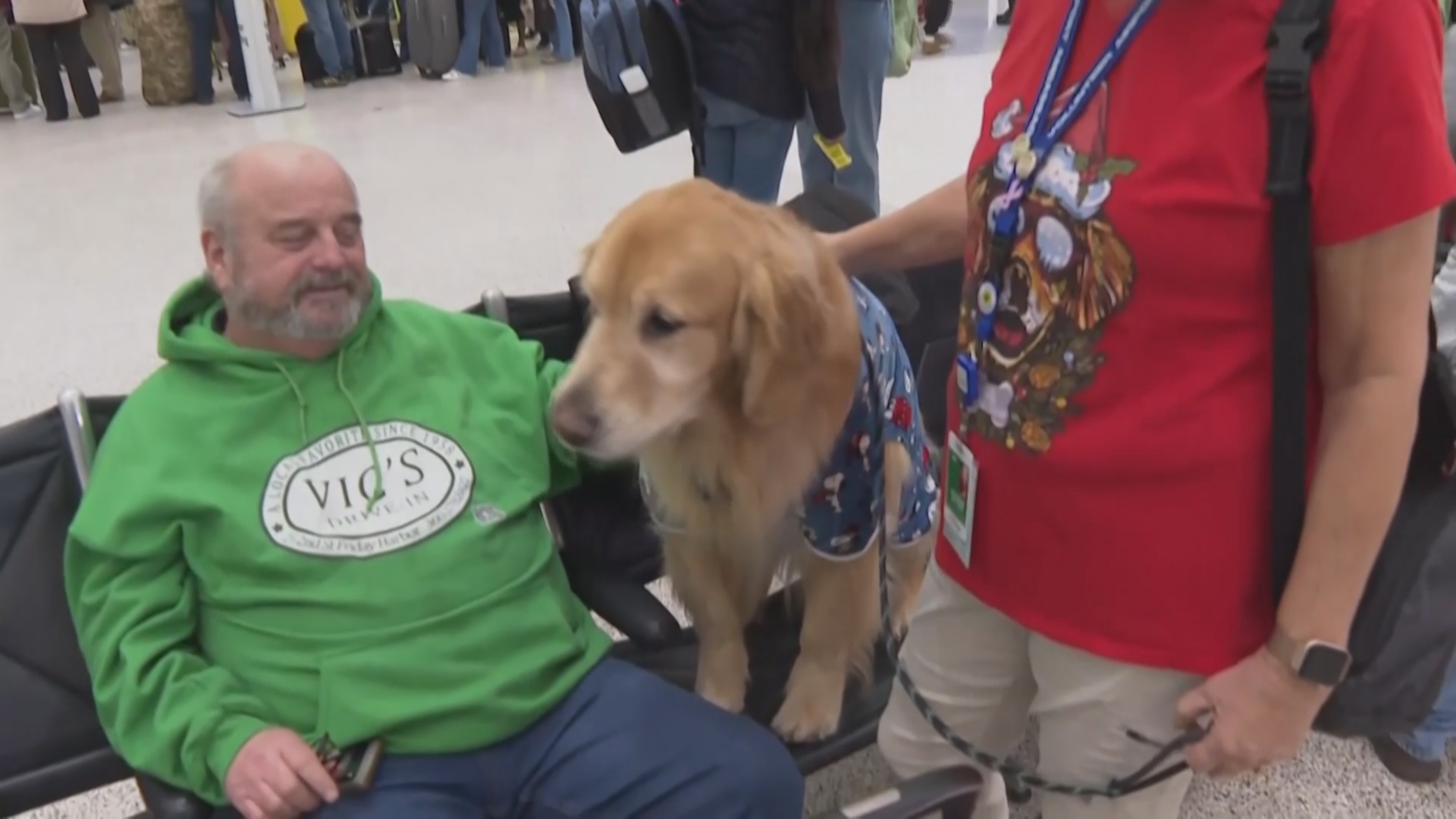 Два золотистых ретривера поднимают настроение пассажирам в аэропорту в США Два золотистых ретривера поднимают настроение пассажирам в аэропорту в США