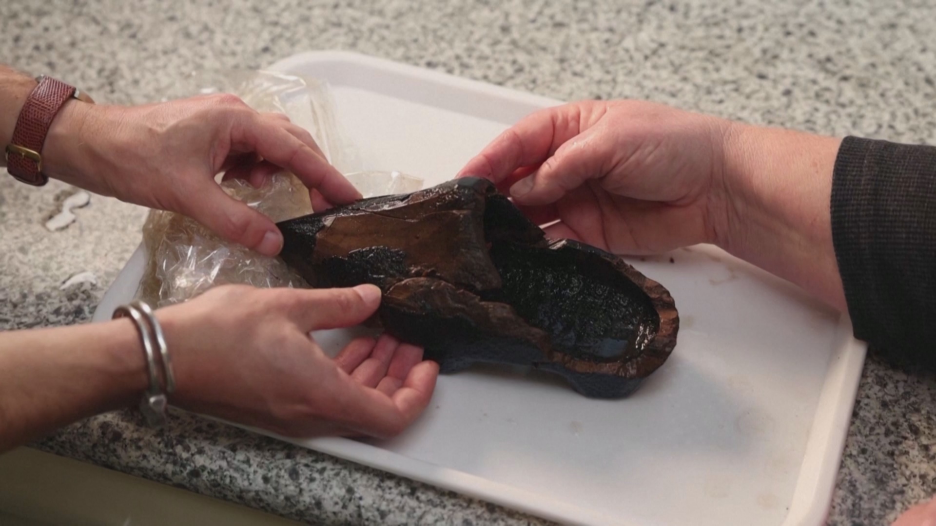 Деревянный башмак возрастом 500 лет нашли в выгребной яме в Нидерландах