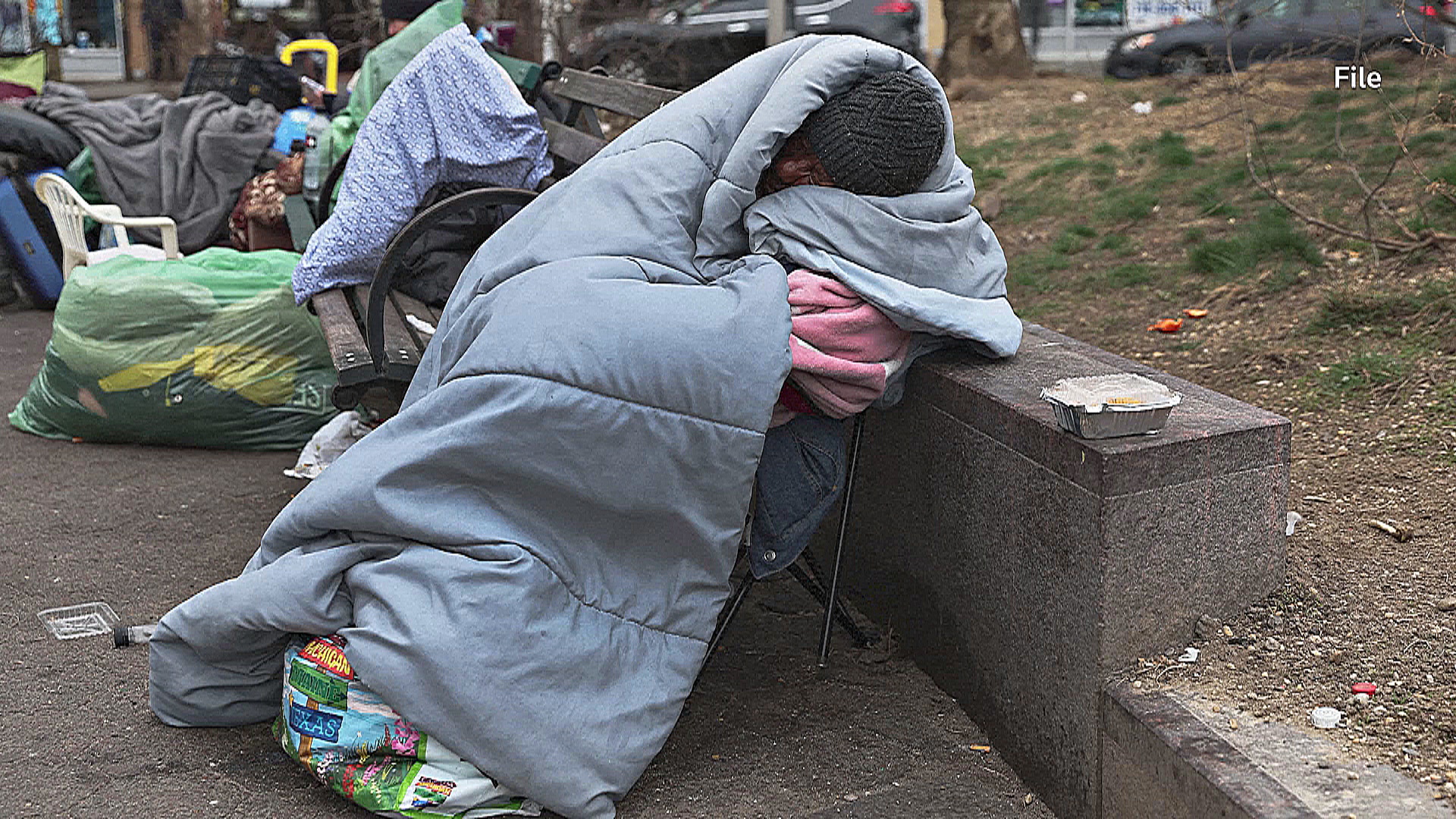 В 2024 году бездомных в США стало рекордного много В 2024 году бездомных в США стало рекордного много