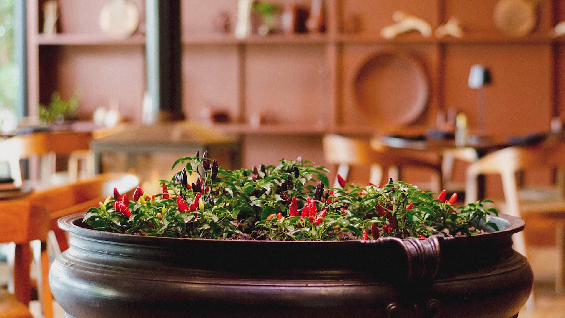 Где находится ресторан, признанный лучшим в Африке