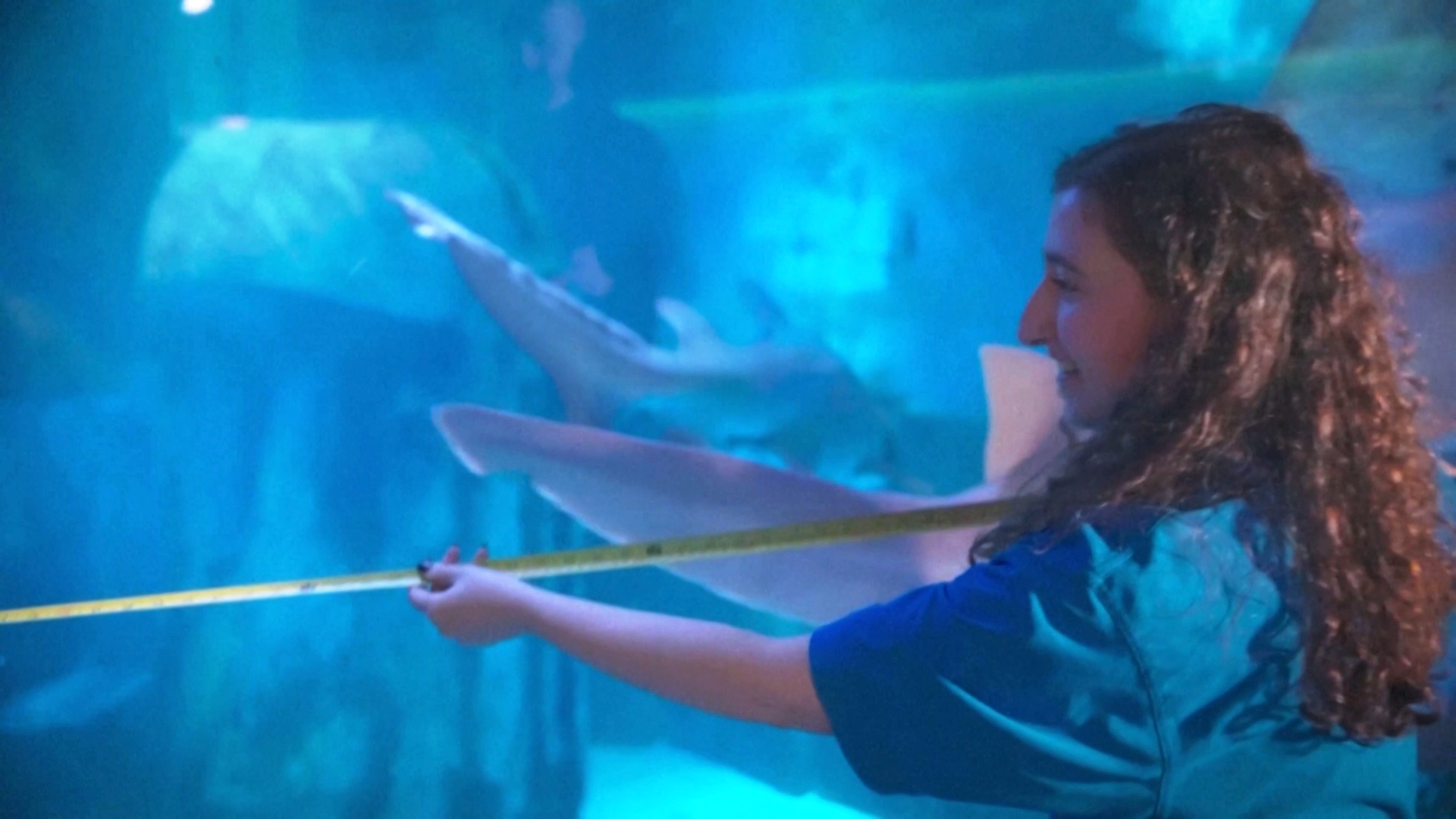 В аквариумах Sea Life в Великобритании начался ежегодный пересчёт обитателей