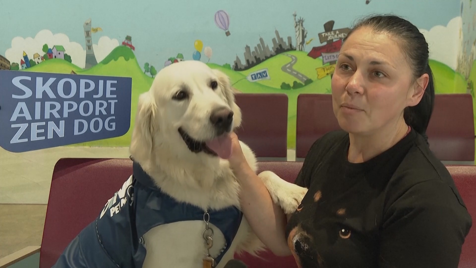 Дзен-собака помогает успокоить пассажиров в аэропорту в Северной Македонии