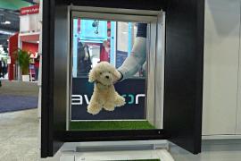 Клонирование голоса и пуленепробиваемая дверца для животных: новинки CES-2025