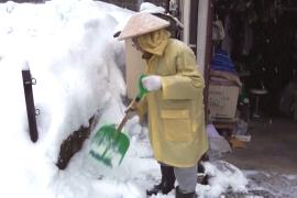 Японию частично завалило снегом