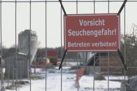 Страны отказываются от импорта мяса из Германии из-за вспышки ящура