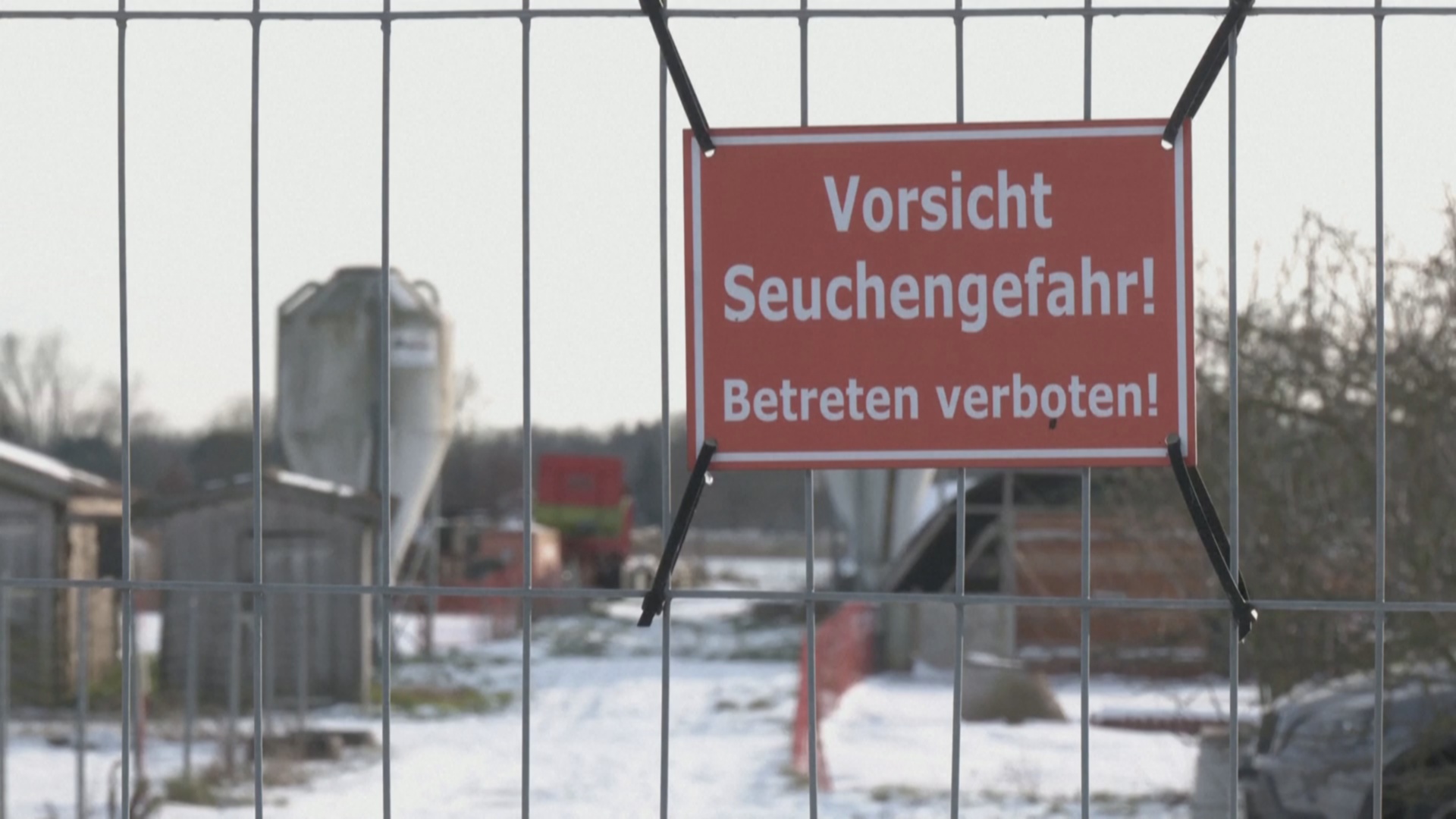 Страны отказываются от импорта мяса из Германии из-за вспышки ящура