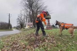 Во Франции утечки воды ищут патрули с собаками