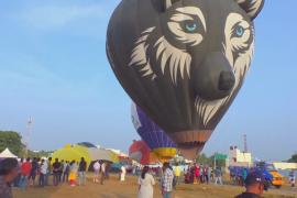 12 воздушных шаров взлетели над индийским штатом Тамилнад