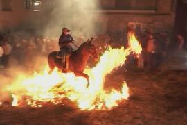 Очищение огнём: как лошади скачут через костры в Испании