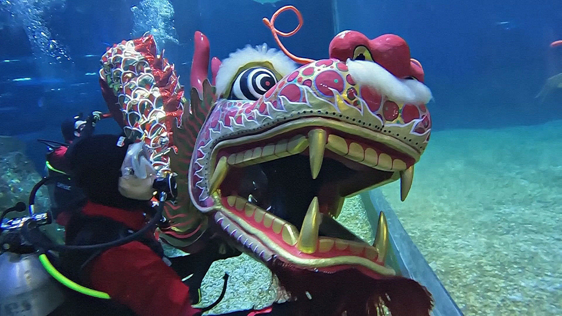 Подводный танец дракона поражает туристов в тайском аквариуме