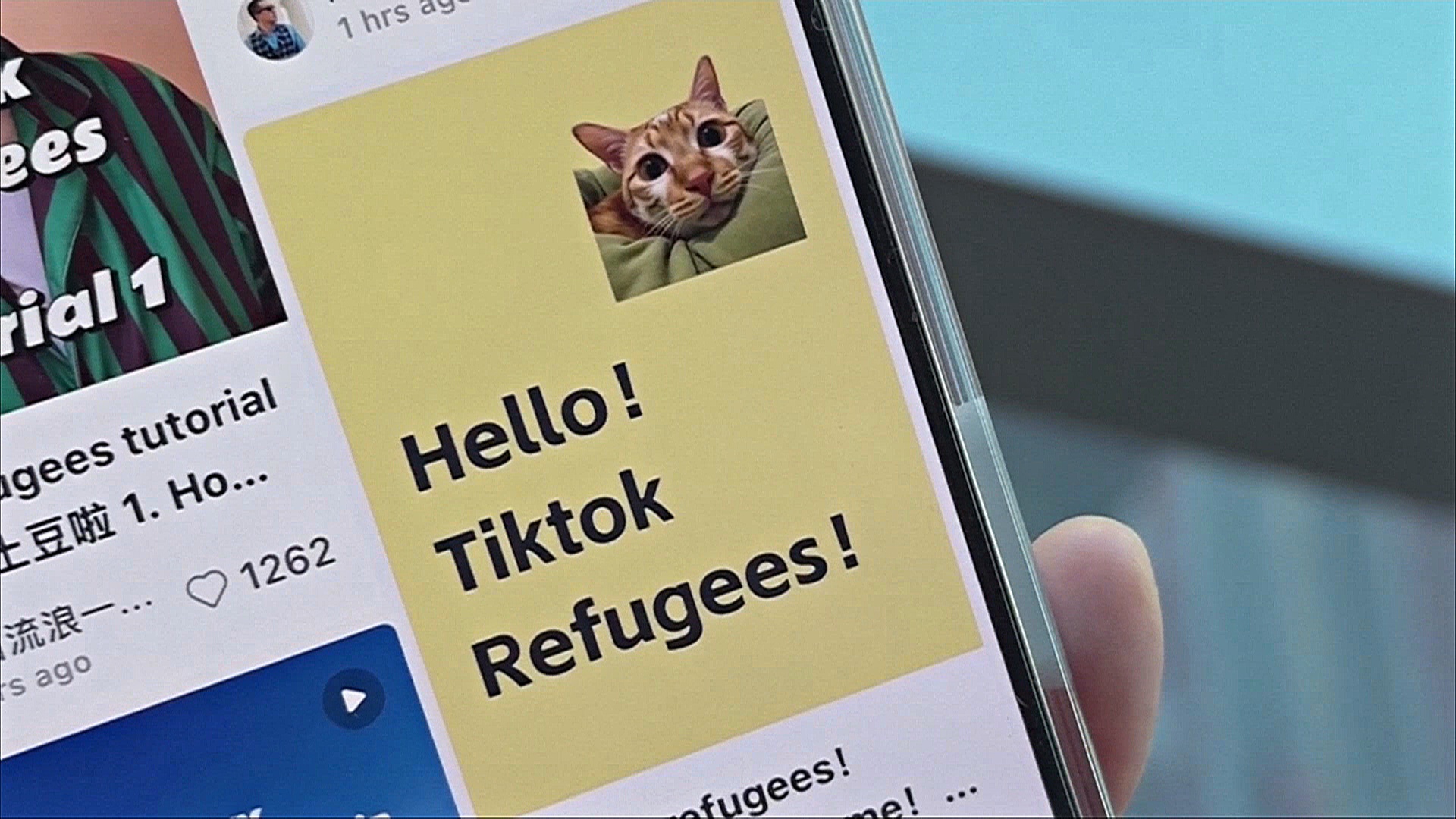 TikTok-беженцы: американская молодёжь массово переходит на китайскую соцсеть RedNote