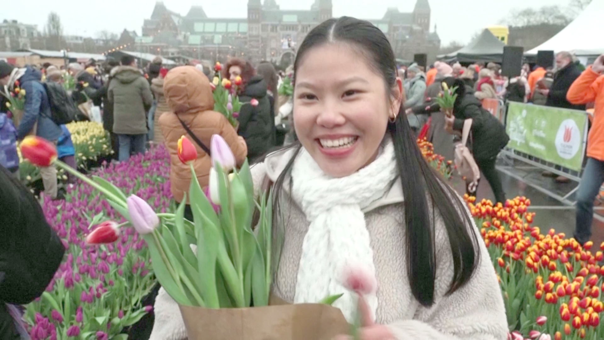 200 000 тюльпанов бесплатно раздали в Амстердаме