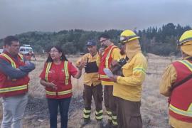 Лесные пожары в Чили: уже погибли трое пожарных