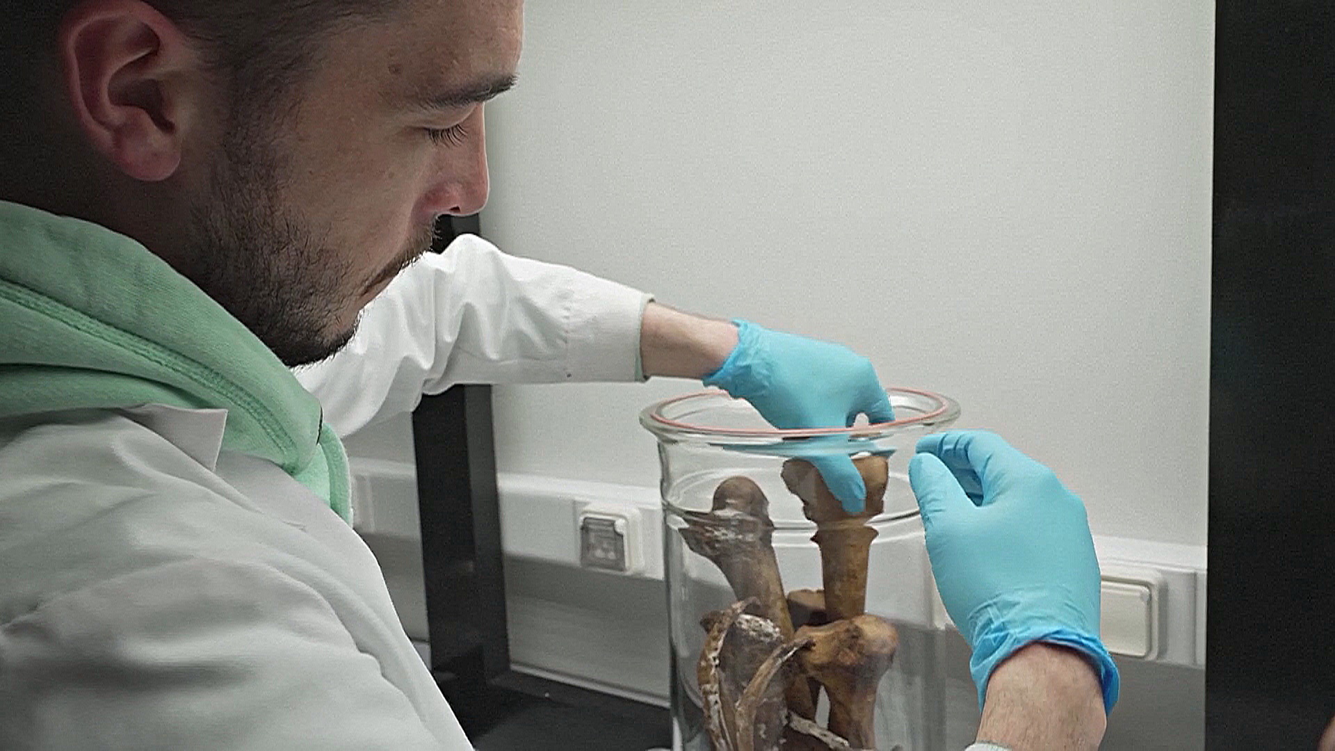 Искусственный запах человеческих костей поможет обучать собак-ищеек Искусственный запах человеческих костей поможет обучать собак-ищеек