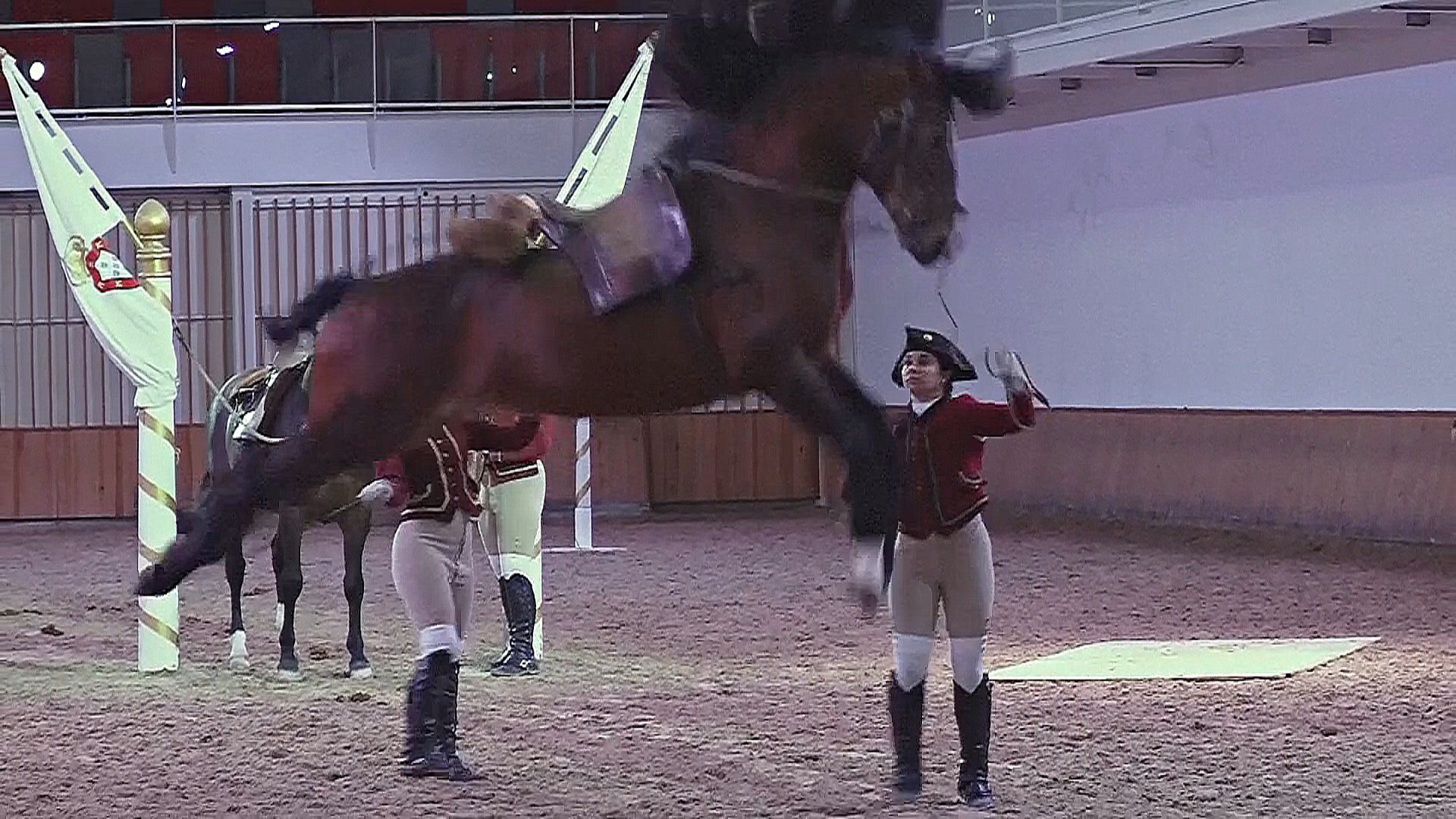 Традиционное конное искусство Португалии внесли в список ЮНЕСКО