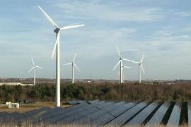 Вокруг завода Nissan в Великобритании восстановили природное биоразнообразие