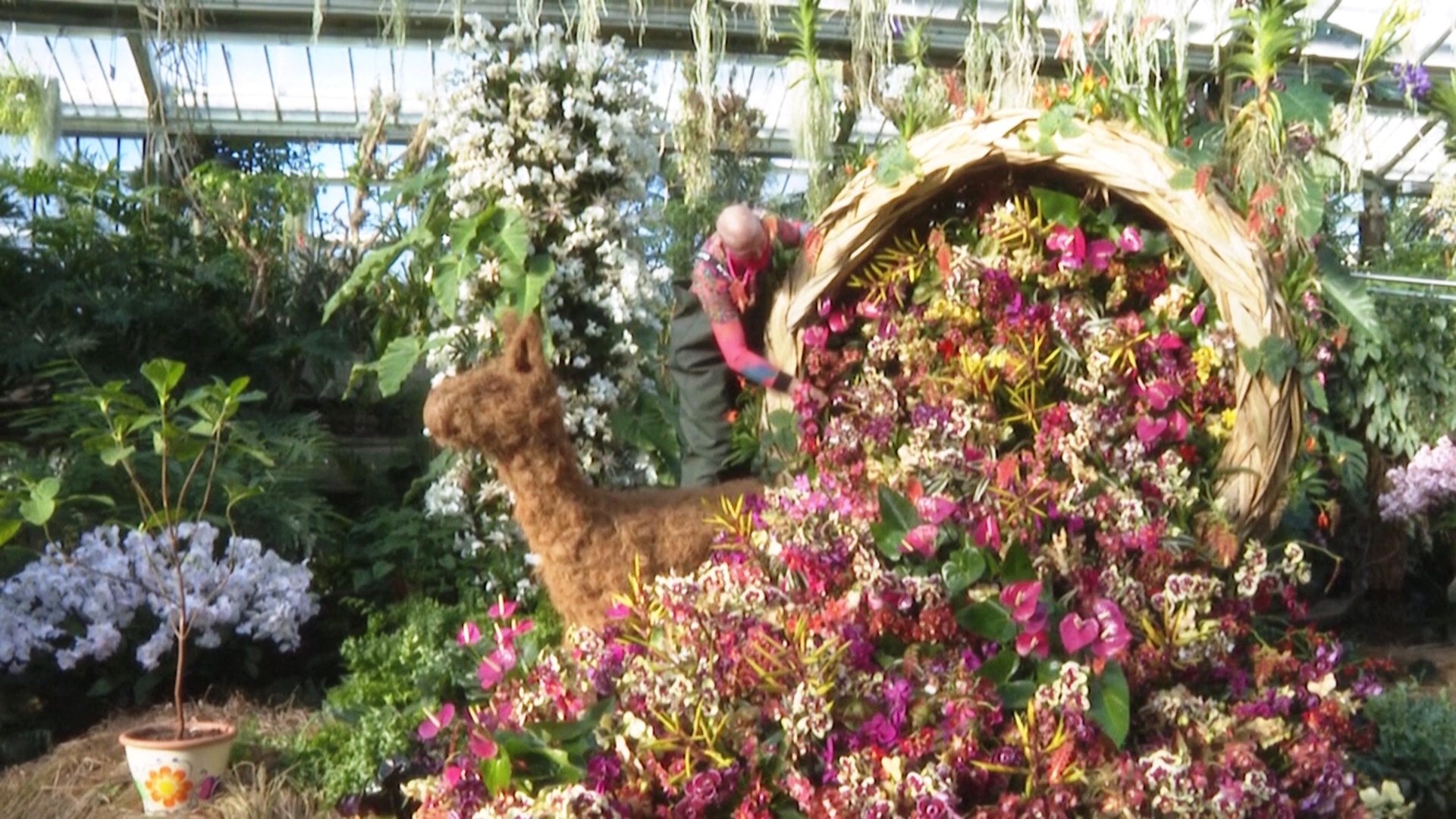 Фестиваль орхидей в лондонских Садах Кью посвятили природе Перу