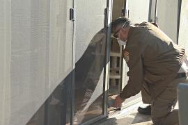 Спасатели Лос-Анджелеса ищут домашних животных после пожаров