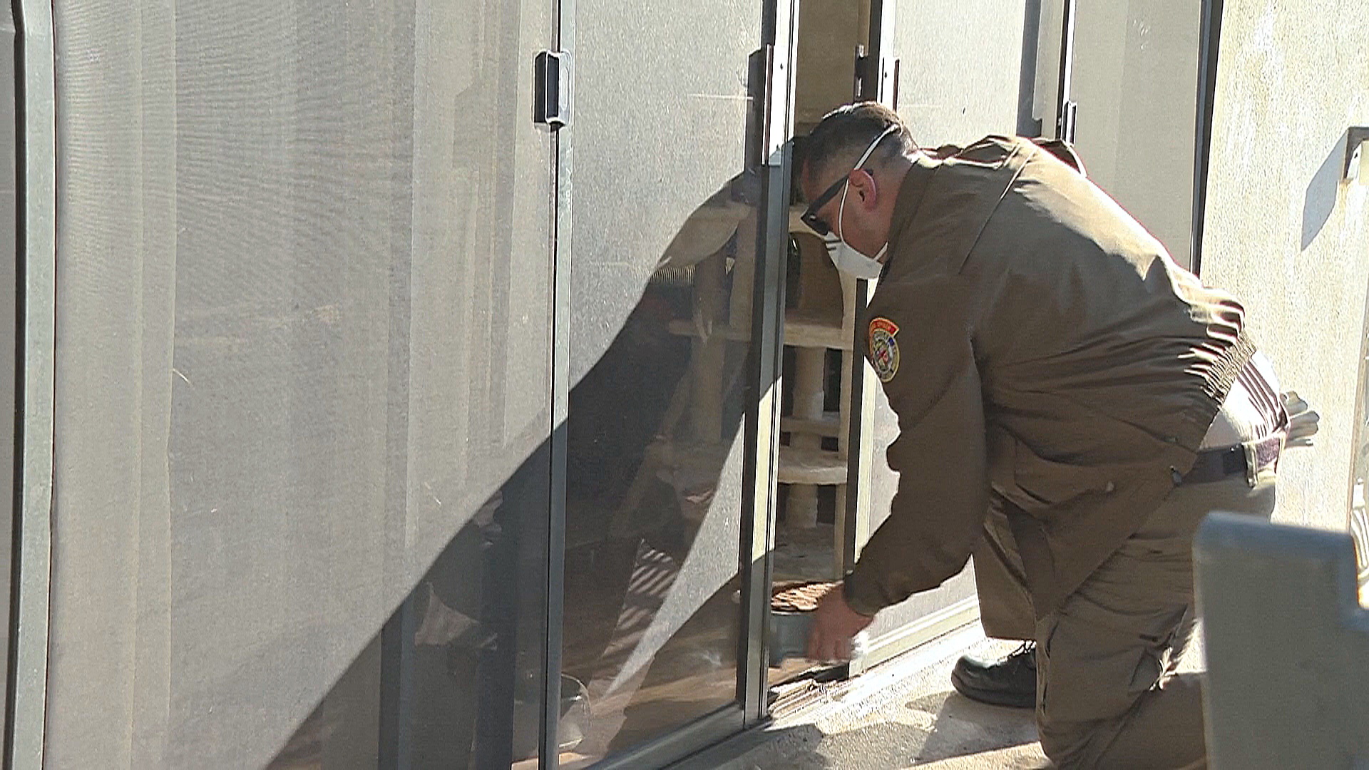 Спасатели Лос-Анджелеса ищут домашних животных после пожаров