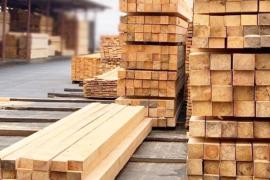 Все о видах пиломатериалов: что выбрать для вашего проекта?