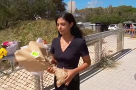 Акула укусила девушку у побережья Австралии, та скончалась