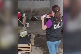 Китайские рабочие на заводе BYD Brazil работали в «оскорбительных условиях»